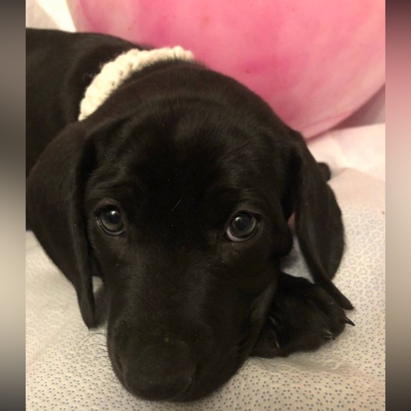 Meet your Posher, Kari - Picture 3 of 5